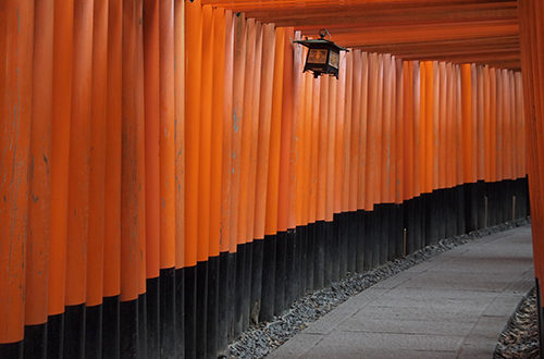 Les milles toriis de Fushimi Inari