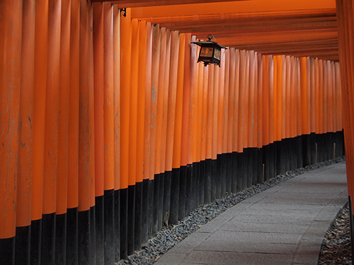 Les milles toriis de Fushimi Inari