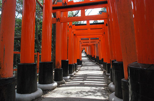 Les toriis vermillon de Fushimi Inari, à Kyoto