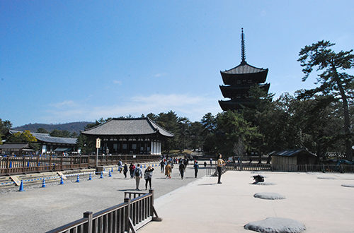 Le temple Kofukuji à Nara et sa pagode de 5 étages