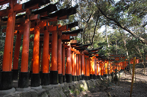 A Fushimi Inari, découvrez des milliers de toriis vermillon